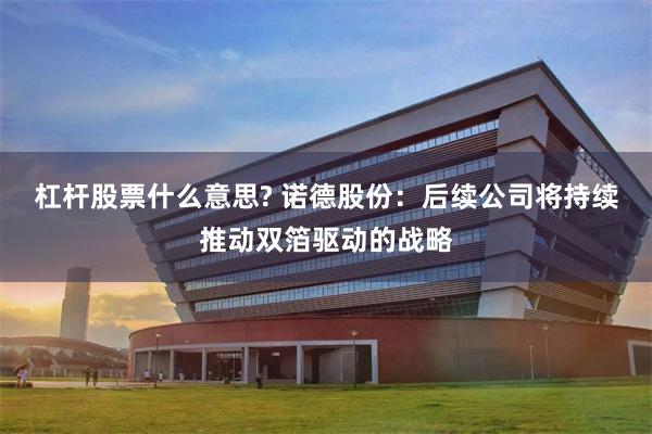杠杆股票什么意思? 诺德股份：后续公司将持续推动双箔驱动的战略