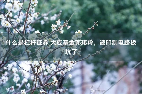 什么是杠杆证券 大成基金郭玮羚，被印制电路板坑了