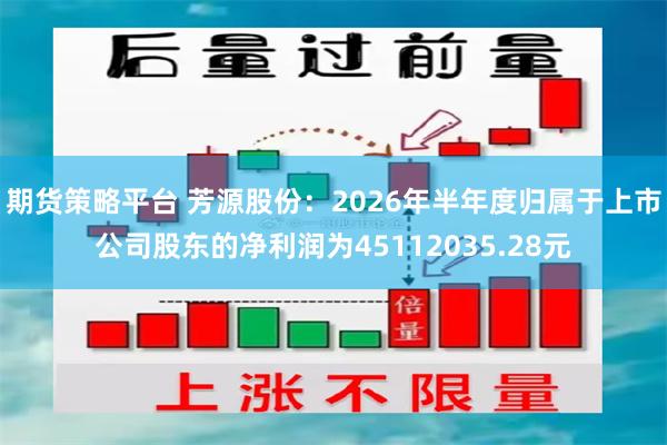 期货策略平台 芳源股份：2026年半年度归属于上市公司股东的净利润为45112035.28元