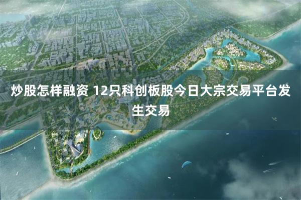炒股怎样融资 12只科创板股今日大宗交易平台发生交易