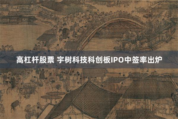高杠杆股票 宇树科技科创板IPO中签率出炉