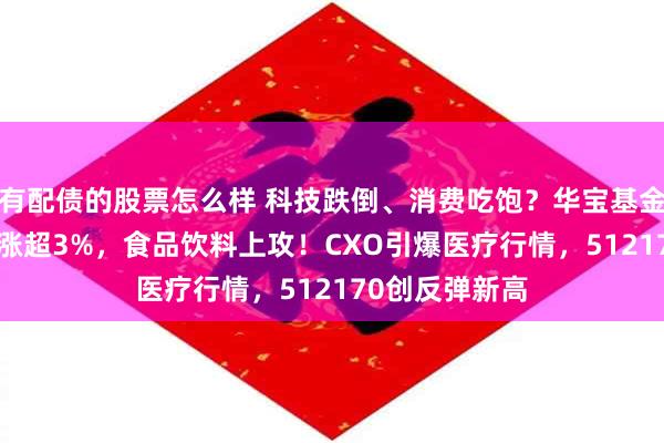 有配债的股票怎么样 科技跌倒、消费吃饱？华宝基金农牧渔ETF领涨超3%，食品饮料上攻！CXO引爆医疗行情，512170创反弹新高