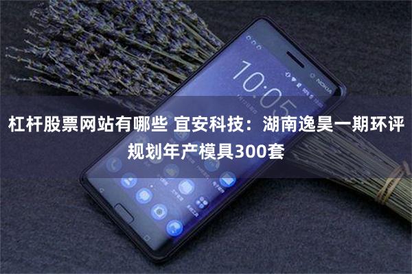 杠杆股票网站有哪些 宜安科技：湖南逸昊一期环评规划年产模具300套