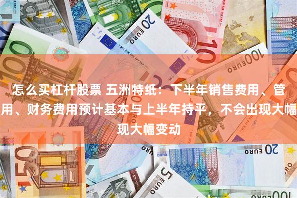 怎么买杠杆股票 五洲特纸：下半年销售费用、管理费用、财务费用预计基本与上半年持平，不会出现大幅变动