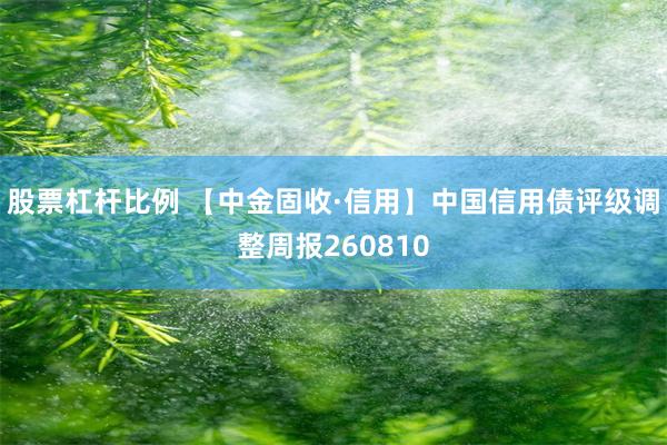 股票杠杆比例 【中金固收·信用】中国信用债评级调整周报260810
