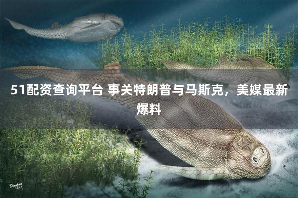 51配资查询平台 事关特朗普与马斯克，美媒最新爆料