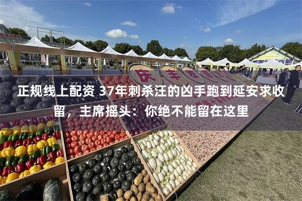 正规线上配资 37年刺杀汪的凶手跑到延安求收留，主席摇头：你绝不能留在这里