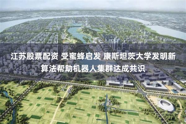 江苏股票配资 受蜜蜂启发 康斯坦茨大学发明新算法帮助机器人集群达成共识