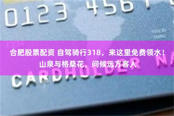 合肥股票配资 自驾骑行318，来这里免费领水！ 山泉与格桑花，问候远方客人