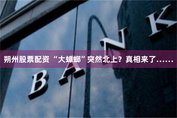 朔州股票配资 “大蟑螂”突然北上？真相来了……